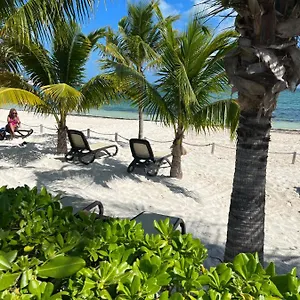 Apartment Beachfront Loft Amara, Cancún