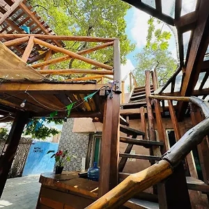 Hostel Ahava Boutique, Cancun